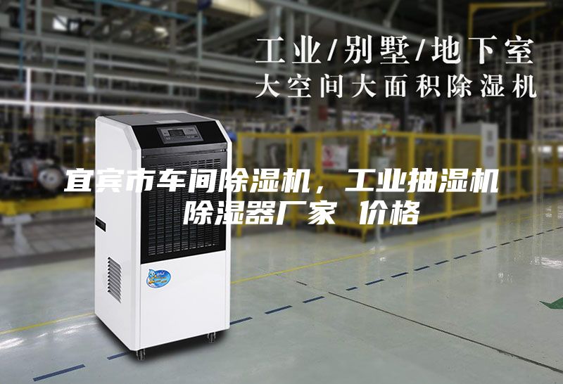 宜賓市車間除濕機(jī)，工業(yè)抽濕機(jī)  除濕器廠家 價(jià)格