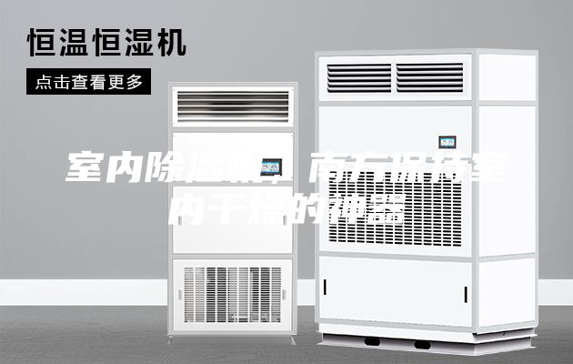 室內(nèi)除濕機(jī)，南方保持室內(nèi)干燥的神器