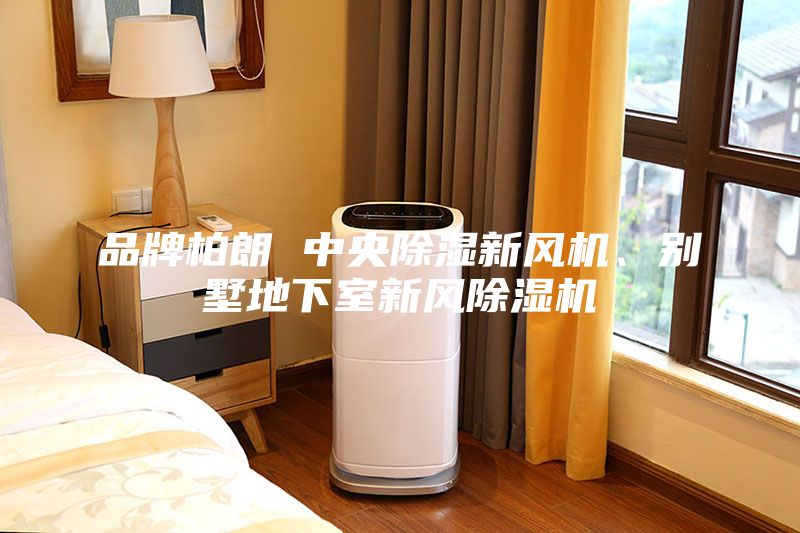 品牌柏朗 中央除濕新風(fēng)機(jī)、別墅地下室新風(fēng)除濕機(jī)