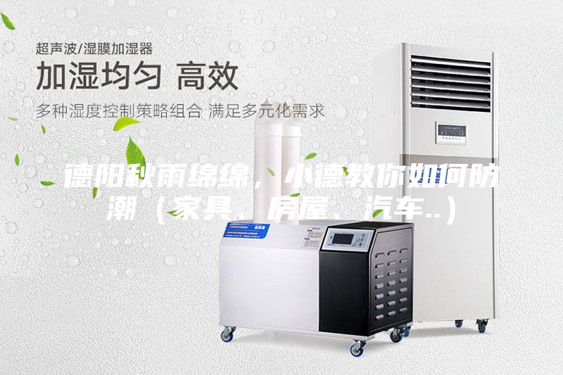 德陽秋雨綿綿，小德教你如何防潮（家具、房屋、汽車..）