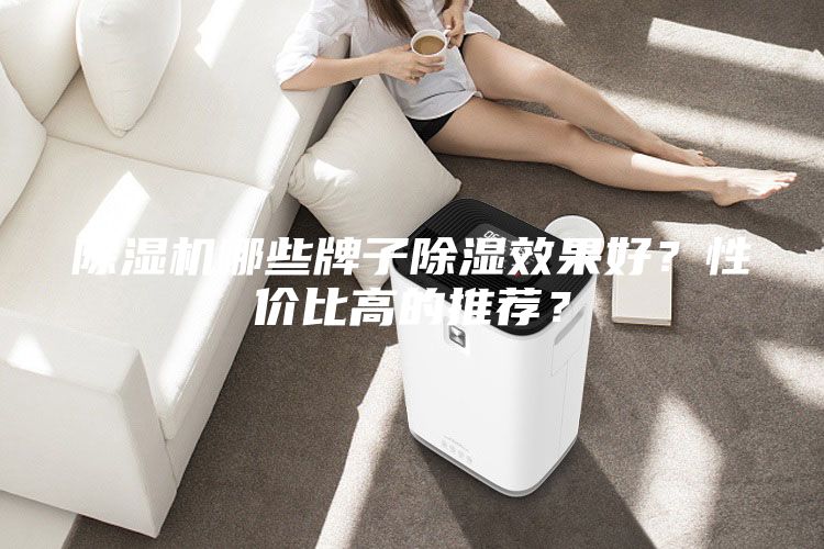 除濕機(jī)哪些牌子除濕效果好？性價(jià)比高的推薦？