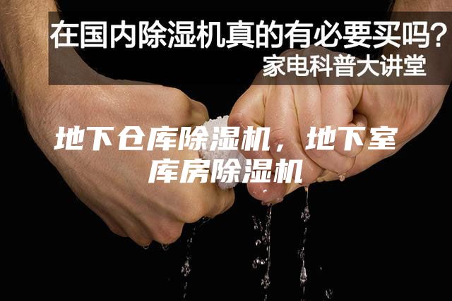 地下倉(cāng)庫(kù)除濕機(jī)，地下室?guī)旆砍凉駲C(jī)