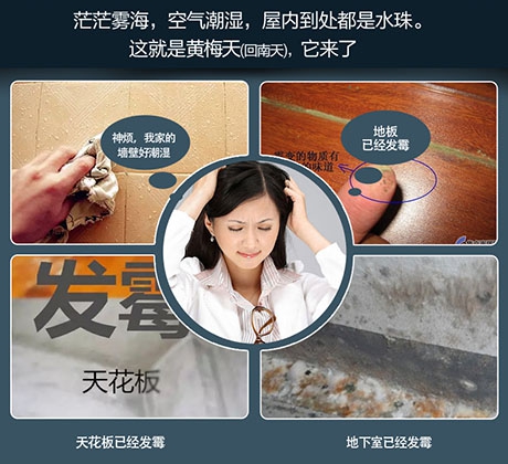 吊裝式中央除濕機，滿足全屋除濕需求